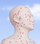 Basics of Neck -- Distance Learning Course